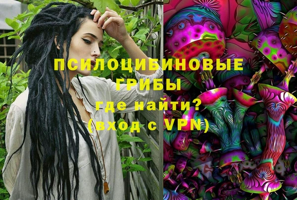 apvp Богородицк