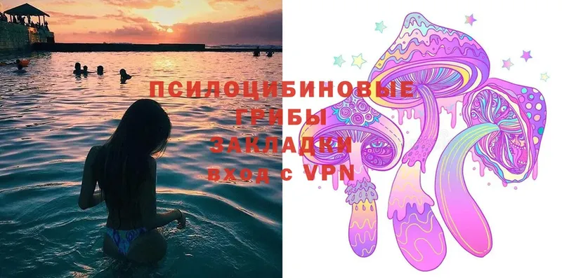 Псилоцибиновые грибы Magic Shrooms  Дмитровск 